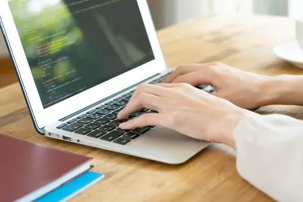 プログラム開発及びテスト実施